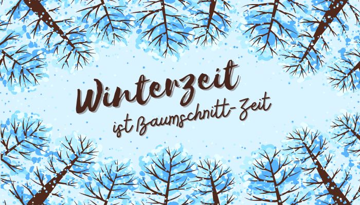 Winterzeit ist Baumschnitt-Zeit